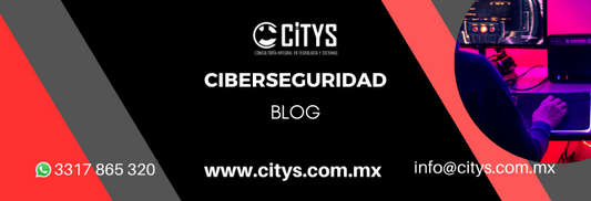 Ciberseguridad