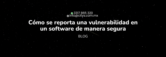 Cómo se reporta una vulnerabilidad en un software de manera segura
