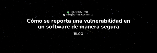 Cómo se reporta una vulnerabilidad en un software de manera segura