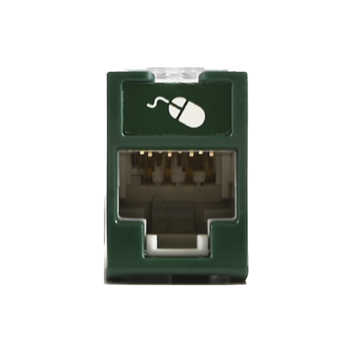 Jack UltraMAX Cat6A, UTP, Montaje híbrido en Placa de Pared (Plano y Angulado), Color Verde, Punch Down