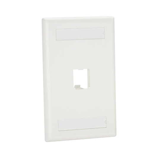 Placa De Pared Vertical Clásica, Salida Para 1 Puerto Mini-Com, Con Espacios Para Etiquetas, Color Blanco