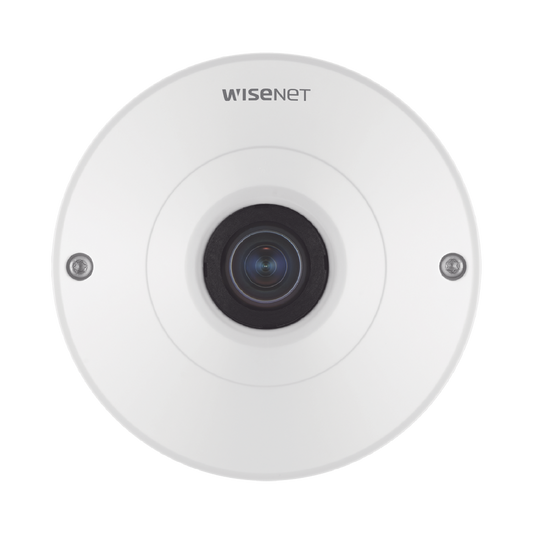 Camara Ip Fish Eye Interior 12 Megapixel / Wdr 120Db / Ptz Digital 8X / Video Analíticos / Microsd / H.265